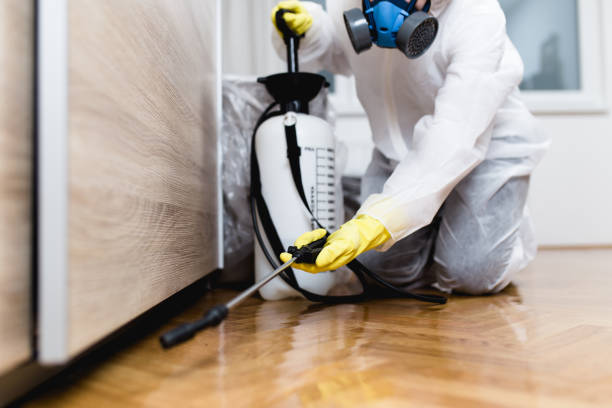 Best Affordable Pest Control Services  in Burton, MI