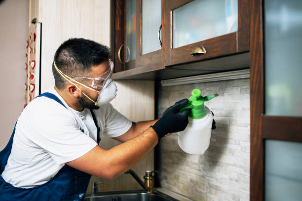 Best Best Pest Control Companies  in Burton, MI