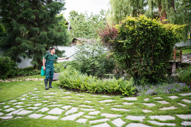Best Pest Removal Services  in Burton, MI