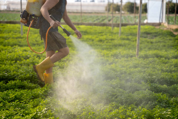 Best Residential Pest Control  in Burton, MI