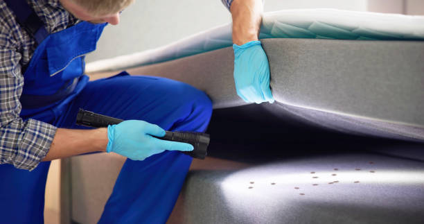 Best Flea Control Services  in Burton, MI