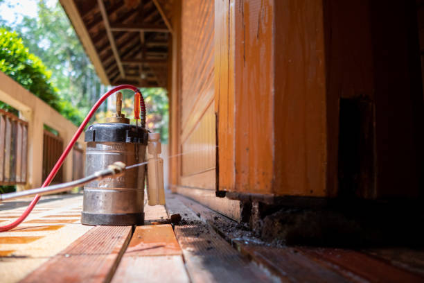 Best Mosquito Control Services  in Burton, MI