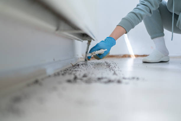 Trusted Burton, MI Pest Control Experts